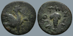 IONIA. Teos. (Circa 370-330 BC). Thersion, magistrate
AE Bronze (11.9mm 1.18g)
Obv: Griffin seated right, his left forepaw raised.
Rev: THI - ΘΕΡΣΙ...