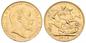 Australia. Edward VII. Sovereign. 1909. Perth. P. (Km-15). Au. 7,99 g. Golpecitos en el canto. EBC-/EBC. Est...210,00.