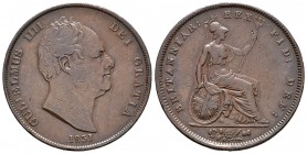 Gran Bretaña. William IV. 1 penny. 1831. (Km-707). Ae. 18,73 g. Sin WW en cuello. MBC-. Est...60,00.