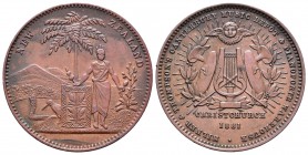 Nueva Zelanda. 1 penny - Token. 1881. (Km-Tn50). Ae. 11,04 g. Christchurch. EBC+. Est...90,00.