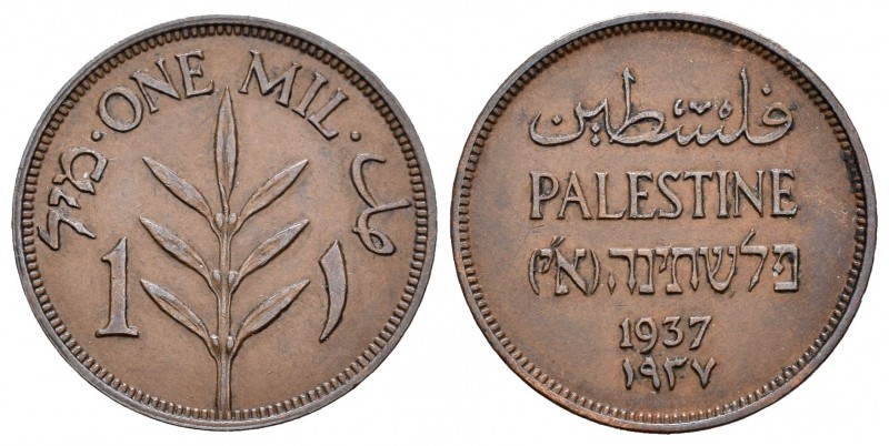 Palestina. 1 mil. 1937. (Km-1). Ae. 3,19 g. EBC. Est...45,00.