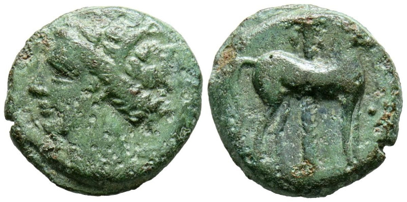 CARTAGONOVA (Cartagena, Murcia). 1/2 Calco. (Ae. 3,07g/16mm). 220-215 a.C. (FAB-...