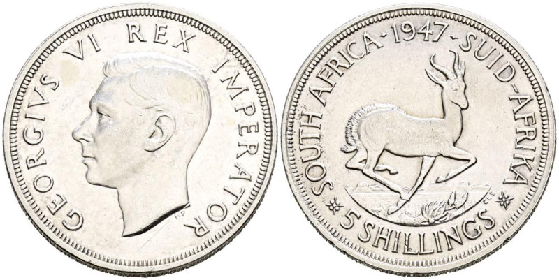 SUDÁFRICA. 5 Shillings. (Ar. 28,31g/39mm). 1947 George VI. (Km#31). EBC. Rayitas...