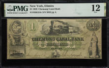 Elimira, New York. Chemung Canal Bank. 1859 $1. NY-820 G24c. PMG Fine 12.

Plate A. Imprint of Rawdon, Wright, Hatch & Edson, New York with "abc" mo...