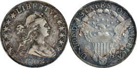 1802 Draped Bust Half Dollar. O-101, T-1, the only known dies. Rarity-2. EF-40 (PCGS).

Deep olive and turquoise hues paint the protected regions of...