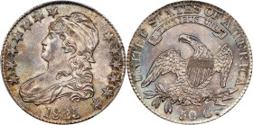 1825 Capped Bust Half Dollar. O-113. Rarity-1. Die State 113.1. MS-65 (PCGS).

Enveloped in a blend of pearl gray and steel-olive iridescence, this ...