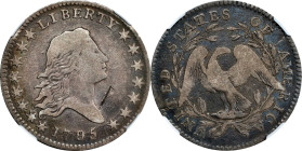 1795 Flowing Hair Half Dollar. O-107a, T-31. Rarity-5. Two Leaves. Fine Details--Obverse Damage (NGC).

PCGS# 39224. NGC ID: 24E7.

Estimate: $150...