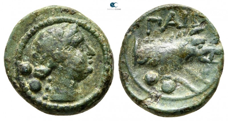Lucania. Paestum 218-201 BC. 
Sextans Æ

15 mm., 2,45 g.

Female head right...