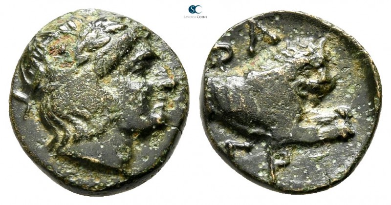 Macedon. Phagres circa 400-350 BC. 
Bronze Æ

11 mm., 1,17 g.

Laureate hea...