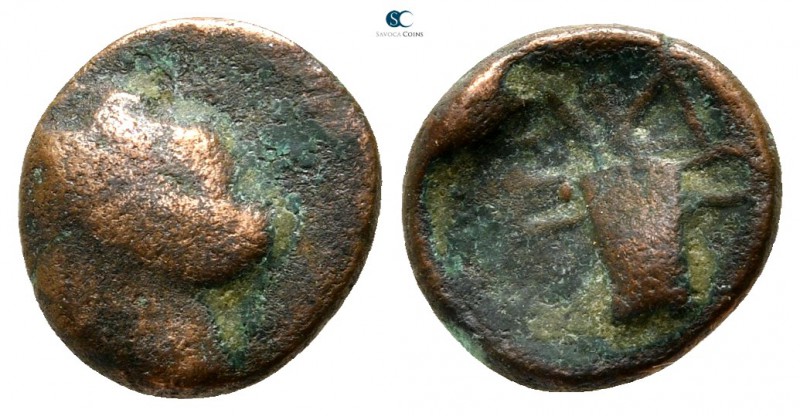 Kings of Thrace. Odrysian. Uncertain king AΔ circa 405-340 BC. 
Bronze Æ

11 ...