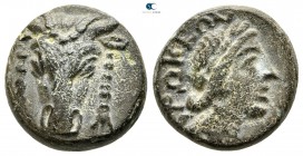 Phokis. Federal Coinage circa 300-100 BC. Bronze Æ