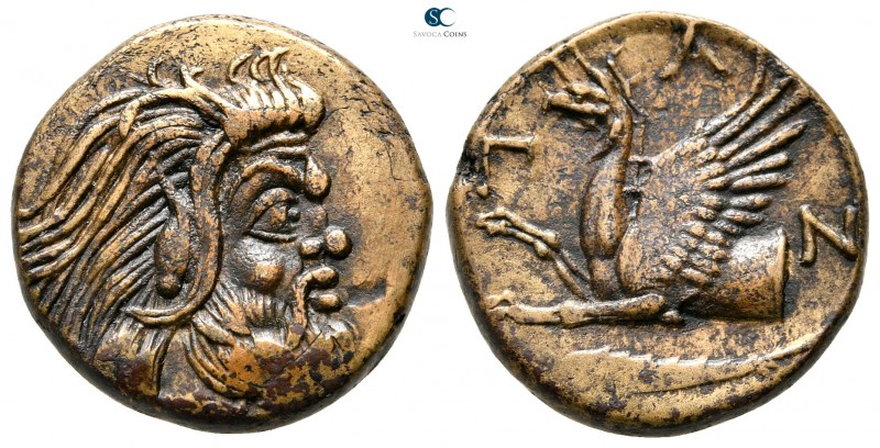 Cimmerian Bosporos. Pantikapaion 310-303 BC. 
Bronze Æ

20 mm., 6,52 g.

He...