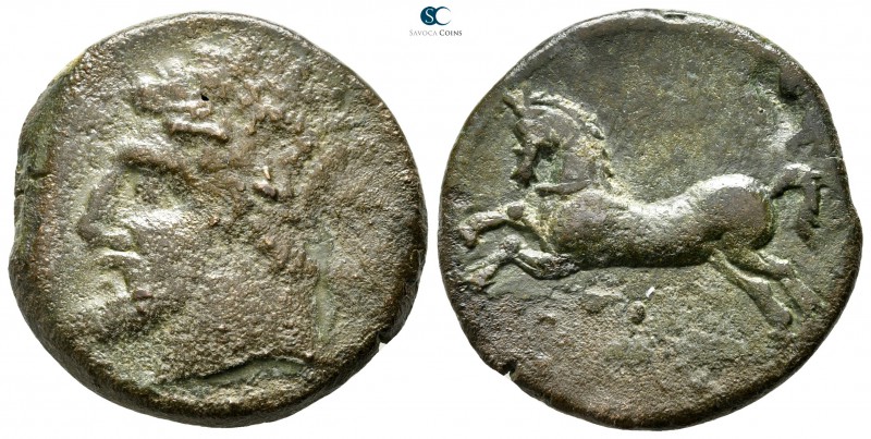Kings of Numidia. Massinissa or Micipsa 203-148 BC. Or 148-118 BC
Unit Æ

26 ...