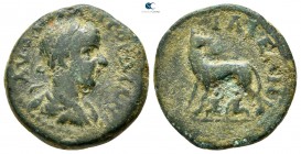 Troas. Ilion . Gordian III AD 238-244. Bronze Æ