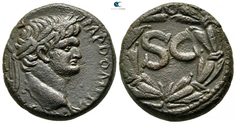 Seleucis and Pieria. Antioch. Domitian AD 81-96. 
Bronze Æ

26 mm., 16,91 g....