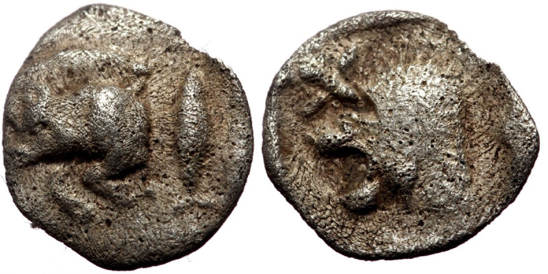 Hemiobol AR
Mysia, Kyzikos (c. 450-400 BC), Forepart of boar left; to right, tun...