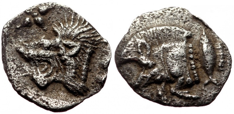 Hemiobol AR
Mysia. Kyzikos, c. 450-400 BC
Forepart of boar left; to right, tun...