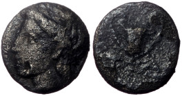 Obol AR
Aeolis, Temnos, 4th century BC, Laureate head of Apollo left, T – A, Kantharos
9 mm, 0,83 g
Traité 2073 (diobol)