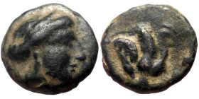 Bronze Æ
Greek Coin
10 mm, 1,16 g