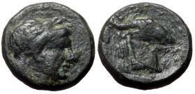 Bronze Æ
Greek Coin
10 mm, 1,22 g