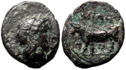 Bronze AE
Mysia, Miletopolis, 4th century BC, Laureate head of Apollo right; below, tunny right, MIΛH, Bull advancing left
13 mm, 0,98 g
SNG von Auloc...