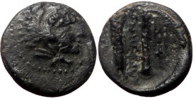 Bronze AE
Kings of Macedon, Alexander III "the Great", 336-323 BC. Macedonian mint / Head of Herakles right, wearing lion skin, AΛΕΞΑΝΔΡΟΥ,Club above ...