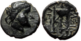 Bronze AE
Seleukid Kings of Syria, Antiochos II (261-246 BC), Sardeis, Laureate head of Apollo to r. / ΒΑΣΙΛΕΩΣ / ΑΝΤΙΟΧΟΥ, Tripod
16 mm, 2,94 g
HGC 9...
