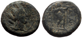 Bronze Æ
Phrygia, Apameia, 133-48 BC