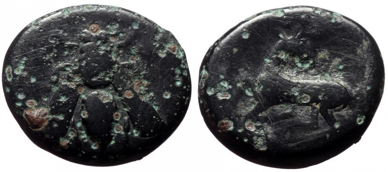 Bronze Æ
Ionia, Ephesus
20 mm, 6,69 g