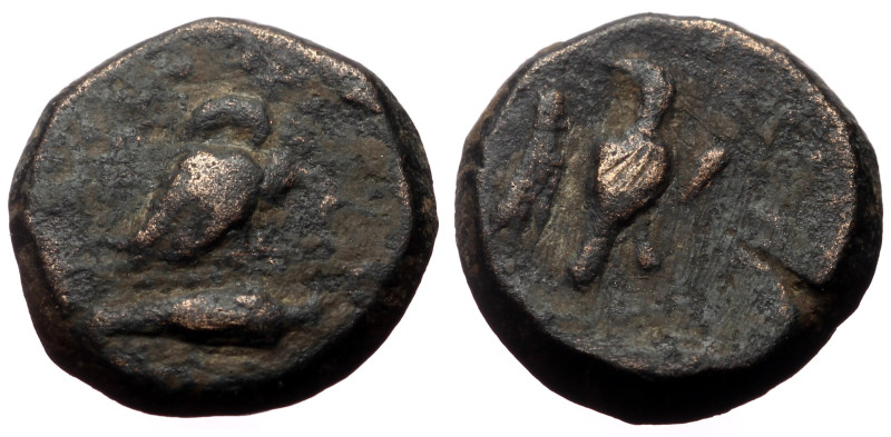 Bronze Æ
Greek Coin
14 mm, 3,72 g