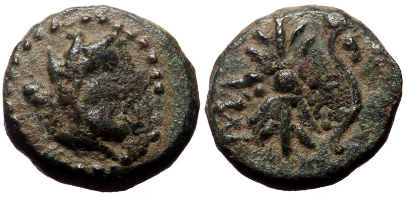 Bronze AE
Pisidia, Selge, 2nd -1st centuries BC, Head of Herakles to right, club...