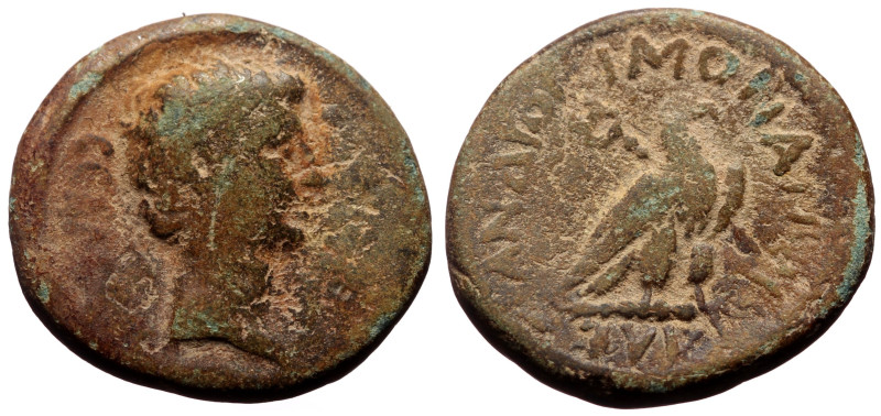 Bronze Æ
Phrygia, Amorium, Augustus, 27 BC–14 AD, CЄBACTOC. Bare head r.; lituus...