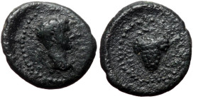 Bronze Æ
Ionia, Teos AE, Augustus (27 BC - 14 AD) uncertain identification, ΣΕΒΑΣΤΟΣ; bare head of Augustus, r., / ΤΗΙΩΝ; vine-branch with bunch of gr...