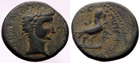 Bronze Æ
Phrygia, Amorium, Claudius, 41-54 AD, Pedon and Katon, magistrates,
ΤΙ ΚΛΑΥΔΙΟϹ ΓΕΡΜΑΝΙΚΟϹ ΚΑΙϹΑΡ. Laureate head right / ΕΠΙ ΠΕΔΩΝΟϹ ΚΑΙ ΚΑ...