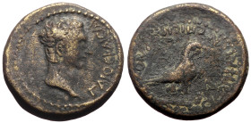 Bronze Æ
Roman Provincial
20 mm, 6,42 g
