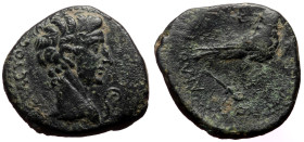 Bronze Æ
Roman Provincial
20 mm, 5,28 g