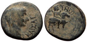 Bronze Æ
Roman Provincial
19 mm, 3,91 g