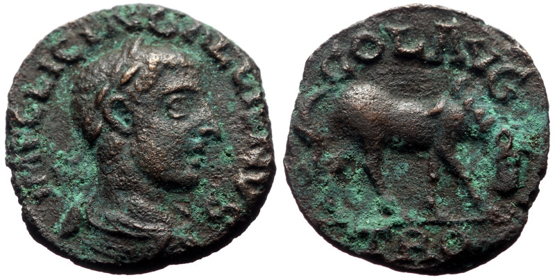 Bronze Æ
Roman Provincial