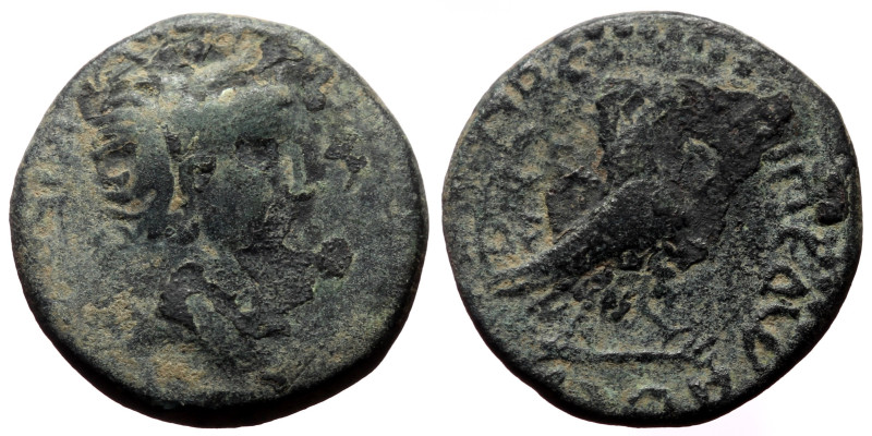 Bronze Æ
Roman Provincial
19 mm, 4,19 g