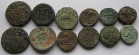Ancient Coins, greek and Roman