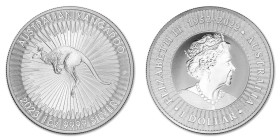 1 Oz AR
Australia, Kangaroo
31,10 g