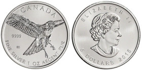 1 Oz
Canada, Birds, 2015
31,10 g