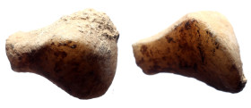 Astragali? 21 mm, 5,87 g