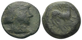 Spanien.

 Bronze. Ca. 220 - 20 v. Chr.
Nachahmung karthagischer Prägungen.

Vs: Kopf rechts.
Rs: Pferd nach rechts galoppierend, dahinter Palme...