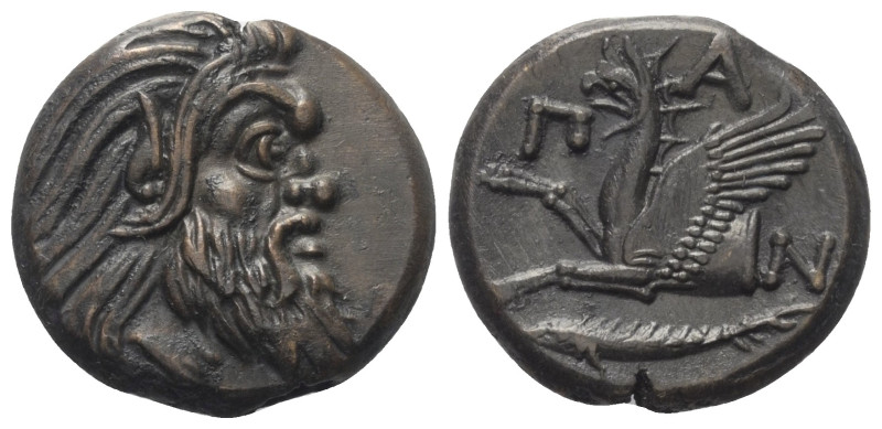 Taurischer Chersones. Pantikapaion.

 Bronze. Ca. 325 - 310 v. Chr.
Vs: Kopf ...