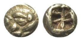 Ionien. Ungesicherte Münzstätten.

 1/24 Stater (Elektron). Ca. 625 - 522 v. Chr.
Vs: Kopf einer Löwin rechts.
Rs: Quadratum incusum.

6 mm. 0,5...