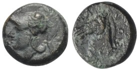 Anonyme Prägungen.

Litra ( Bronze). Kurz vor 269 v. Chr. Rom (oder Neapolis?).
Vs: Kopf der Minerva mit korinthischem Helm links.
Rs: ROMANO. Pfe...