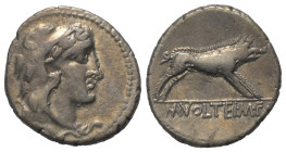 M. Volteius M. F.

 Denar (Silber). 75 v. Chr. Rom.
Vs: Kopf des jugendlichen Hercules mit Löwenfellhaube rechts.
Rs: M VOLTEI M F. Der erymanthis...