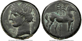 ZEUGITANA. Carthage. Ca. 264-241 BC. BI dishekel (25mm, 9.81 gm, 12h). NGC VF 5/5 - 4/5. Bust of Tanit left, hair wreathed with grain ears, wearing pe...