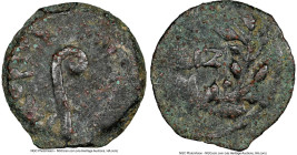 JUDAEA. Roman Procurators. Pontius Pilate (AD 26-36). AE prutah(16mm, 12h). NGC VF. Jerusalem, dated Regnal Year 17 of Tiberius (AD 30). TIBEPIOY KAIC...